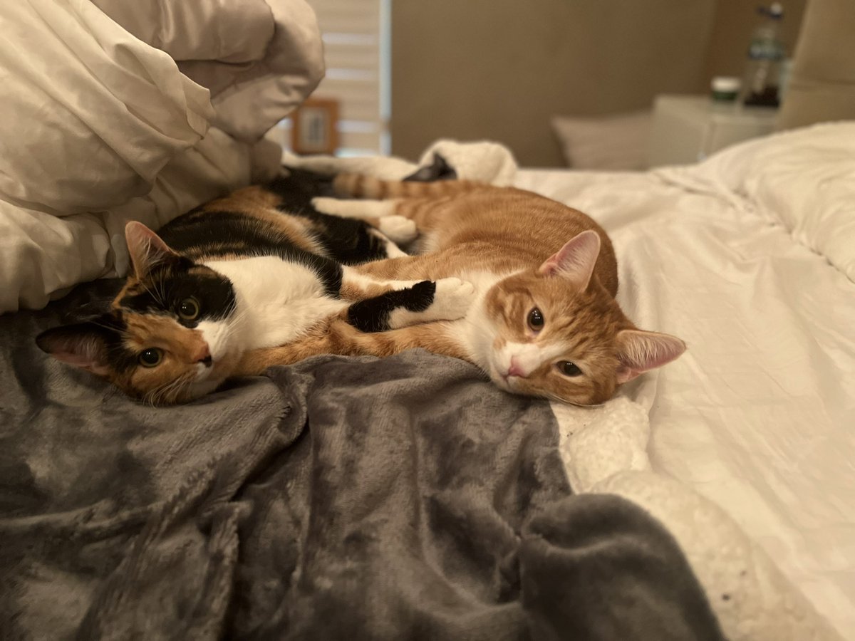 Jolene Derry tweet media