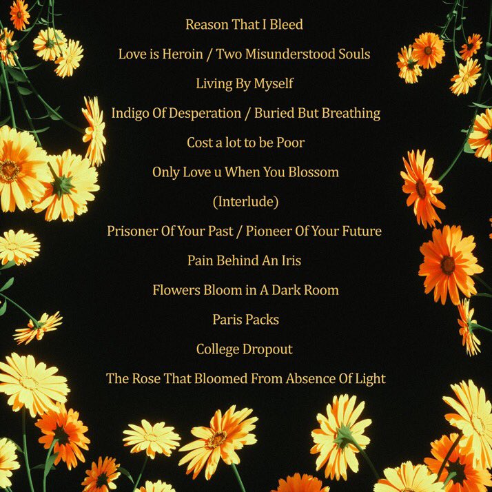 Sanjro🇯🇲 on Twitter "RT ArtByKarma Flowers Bloom In A Dark Room. 🥀 ?/2/2023"