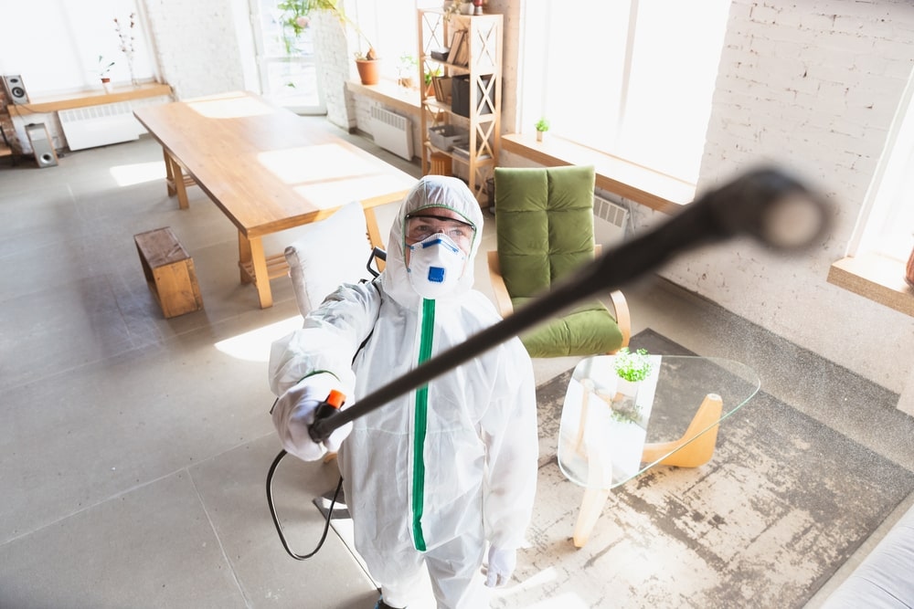 Are you in the middle of a remodel or new construction project? Mold prevention &amp; removal is crucial for your health and safety. Let us help you with our expert services.
Give us a call today at 850-432-6060 and let's make sure your project is mold-free!

#moldremoval #pensacola