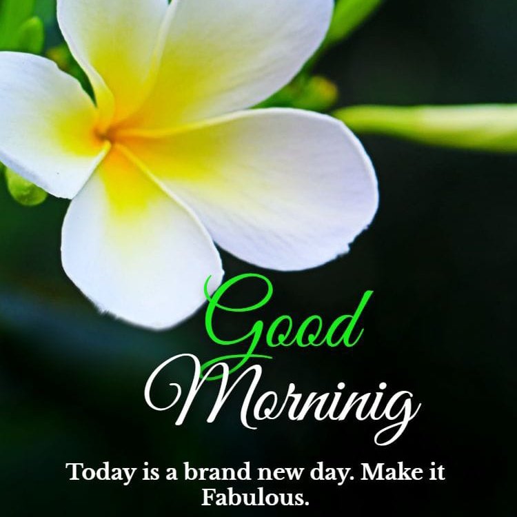 SahniDayaram's tweet photo. #NewProfilePic https://t.co/dvlq18Tn0y