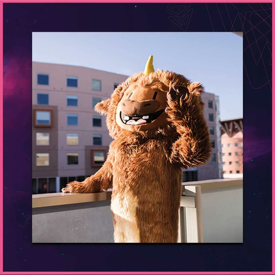 The #BUIDL meme was introduced formally to the ETH community at #ETHDenver 2018 and has stuck as the community wide rallying cry throughout the world.