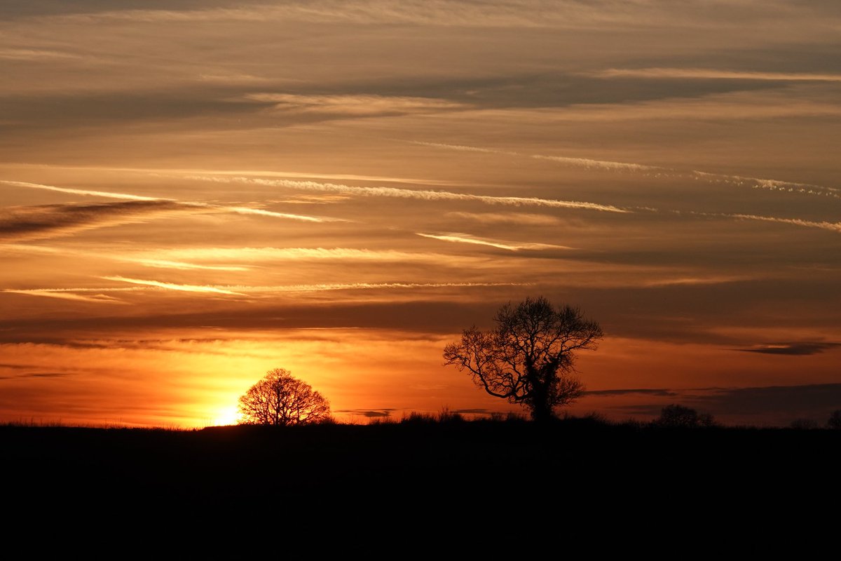 Sunset over Althorp seen from Sanders Covert Chapel Brampton.
Exceptional for a few moments.
No filter or colouring as always, (as seen).
Conservation@althorp.com #Hillfarm #sunset #Spencerestates