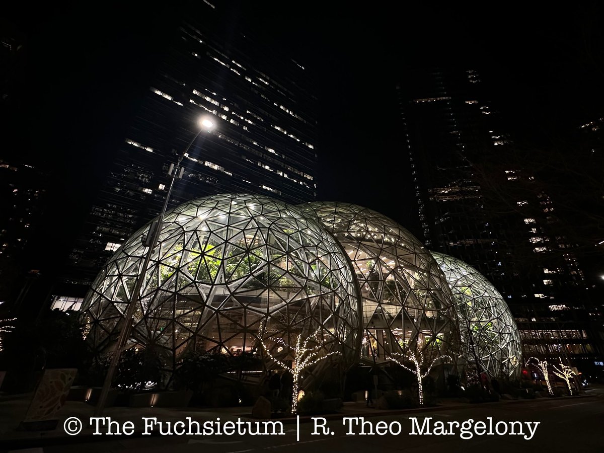 FuchsiariusToo's tweet photo. Day or night, Seattle has some attractions. https://t.co/FQao5h77qP