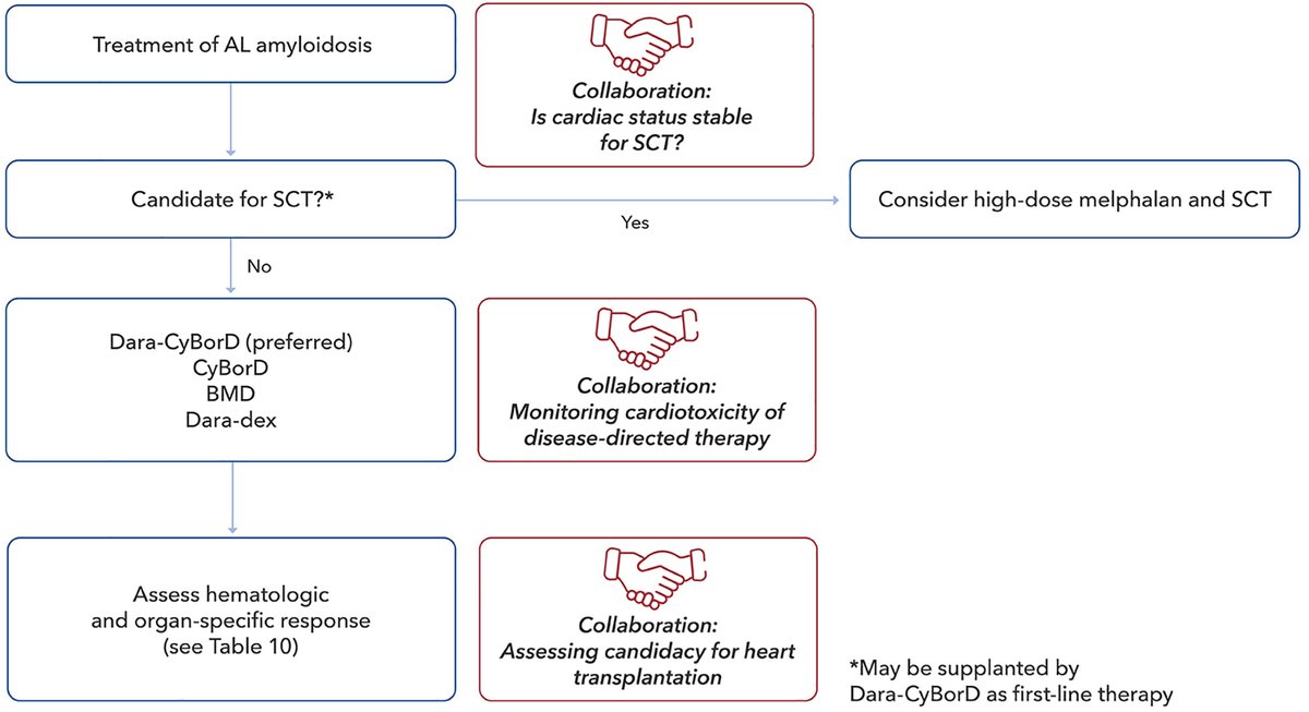 .@ACCinTouch's 🆕 Expert Consensus Decision Pathway provides practical and timely guidance on the diagnosis and management of cardiac #amyloidosis, with an emphasis on comprehensive multidisciplinary care. Learn more: bit.ly/3HrCat8 #JACC #CardioOnc #CardioTwitter