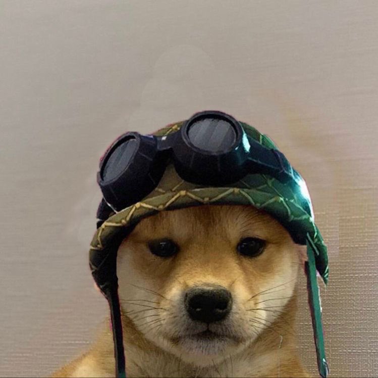 nowaydani's tweet photo. literally me every morning: https://t.co/2ZTn5fKXMT