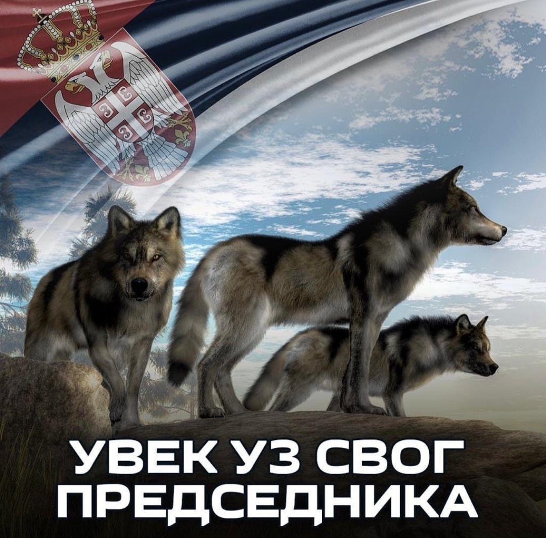 PVeselinovic's tweet photo. https://t.co/GrGLSGNQbT