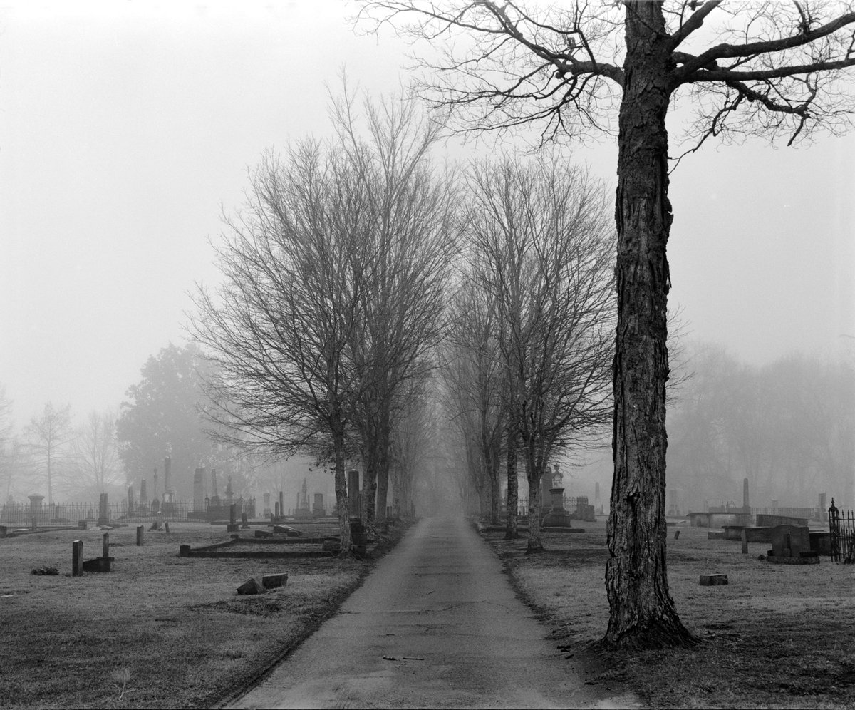 ShelbyNCPhoto's tweet image. Fogging morning on #Tmax400 with the RB67.