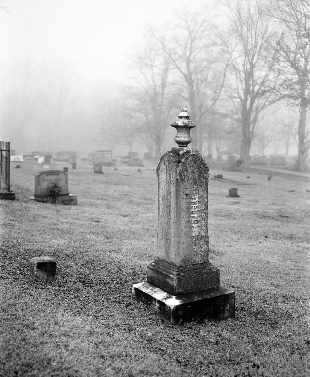 ShelbyNCPhoto's tweet image. Fogging morning on #Tmax400 with the RB67.