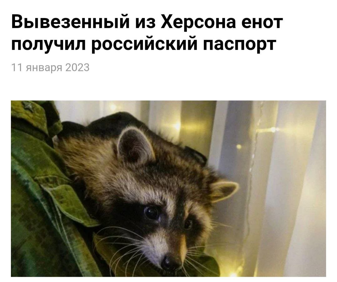 Вo///дъ tweet media