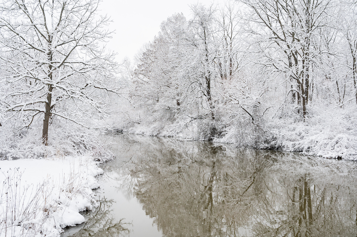 clevemetroparks tweet picture