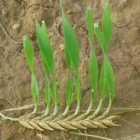 Yere düştün diye, her şey bitti mi sandın.