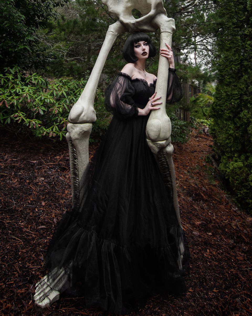 aycarter's tweet photo. Here is a closer look of the @FoxbloodShop gown! https://t.co/By9fkoXwVz