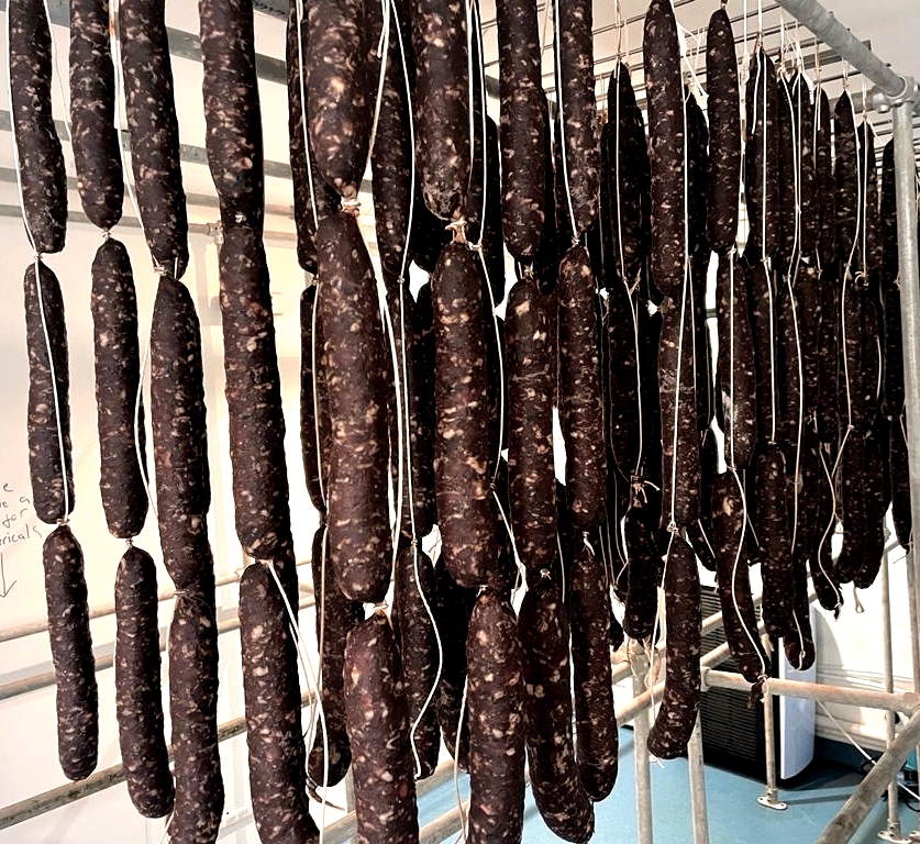 EastCoastCured's tweet photo. Who needs a beaded curtain when you can have a salami curtain?! Last week's creations hanging out beneath our #Leith shop, curing away nicely...
#curingroom #charcuterie #curedmeat #salami #scottishcharcuterie #Edinburgh #Edinburghfood #scottishfoodie #scotfood #madeinscotland https://t.co/Ocddh1Htig