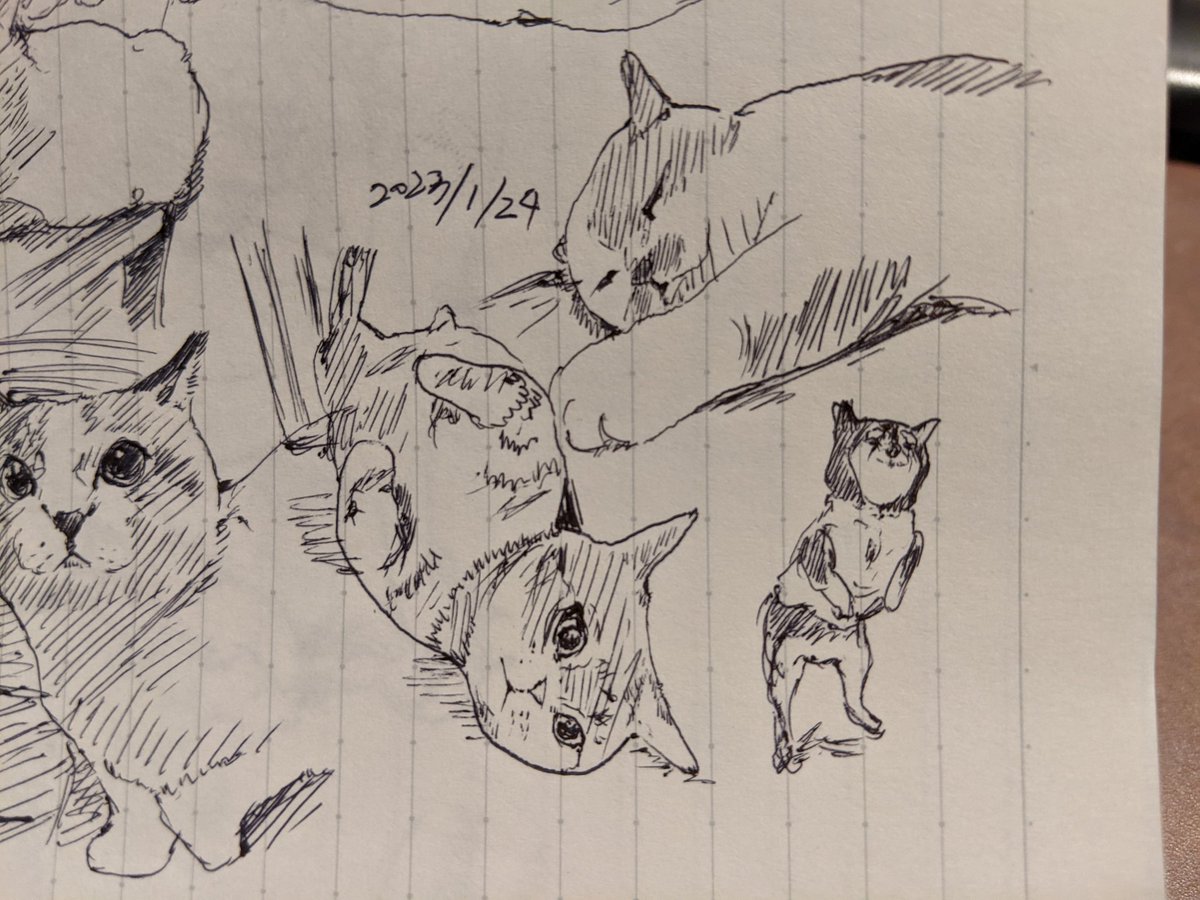 やはり猫…猫は全てを解決する…!(犬も描いてるけど) カキカキ。 