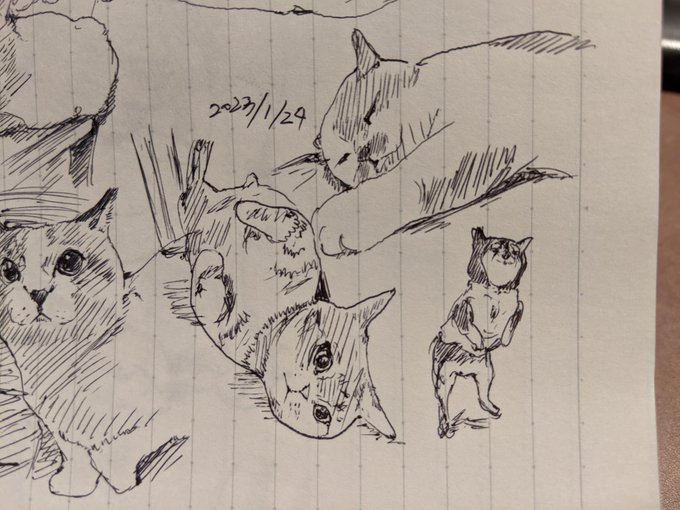 やはり猫…猫は全てを解決する…!(犬も描いてるけど) カキカキ。 