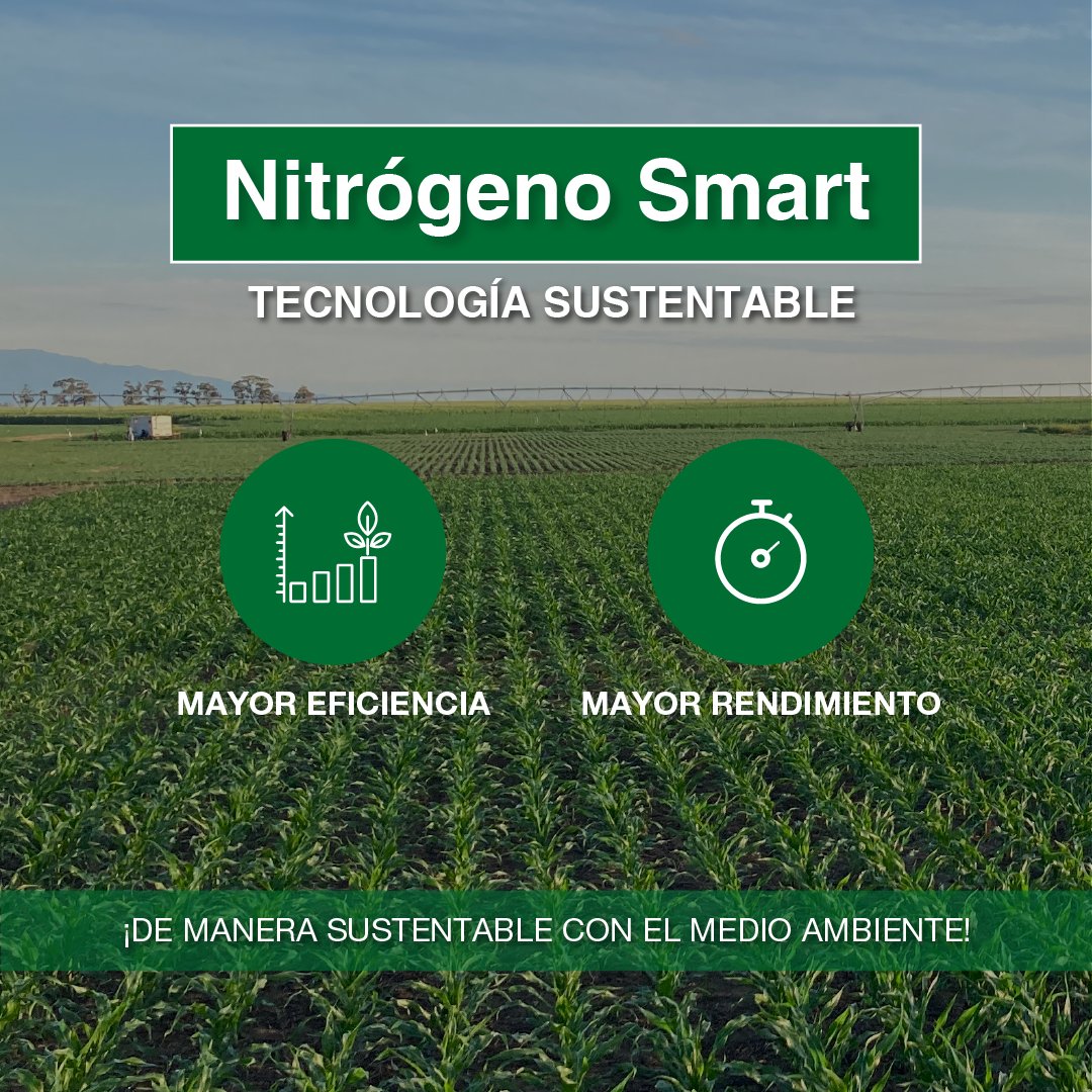 DekalbArgentina's tweet photo. Sustentabilidad + Innovación + Digitalización = #NSmart https://t.co/2OJTk44xiN