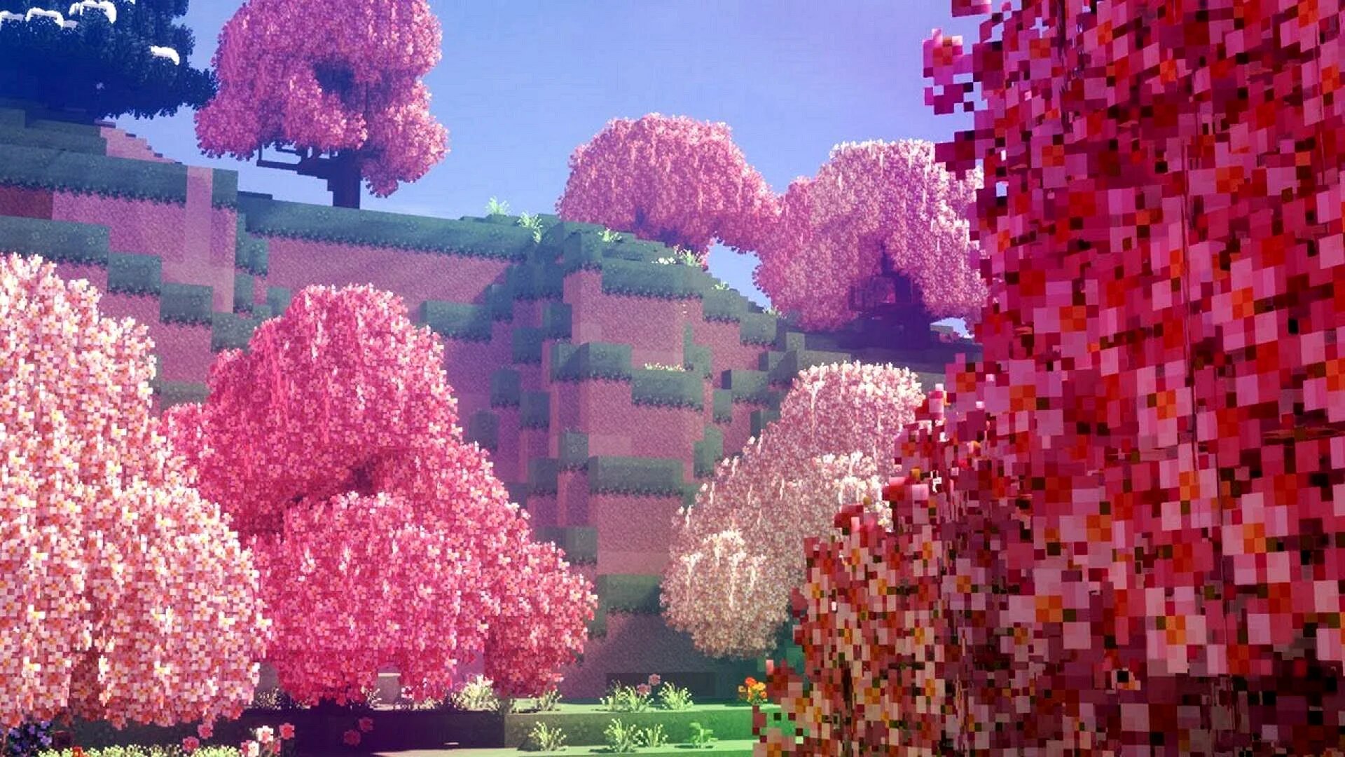 Blossom minecraft. Сакура майнкрафт 1.20. Биом Сакура майнкрафт 1.20. Сакура майнкрафт 1.12.2. Сакура майнкрафт 1.19.