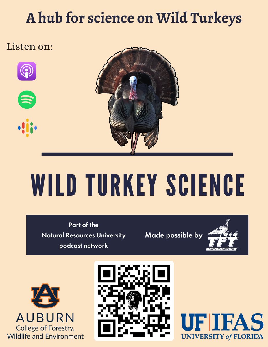 UFGameLab's tweet photo. Wild Turkey Science Podcast is live.Co-hosted by @DrDisturbance and Dr. Will Gulsby. 3 new episodes are up!
Kudos @ForTurkeys for making this possible.
Scan & subscribe now!
#wildturkey #wildturkeyscience #forturkeys #ecology #savethepoults #makingpoults #huntinglife #podcast https://t.co/ewbzOqF1UY