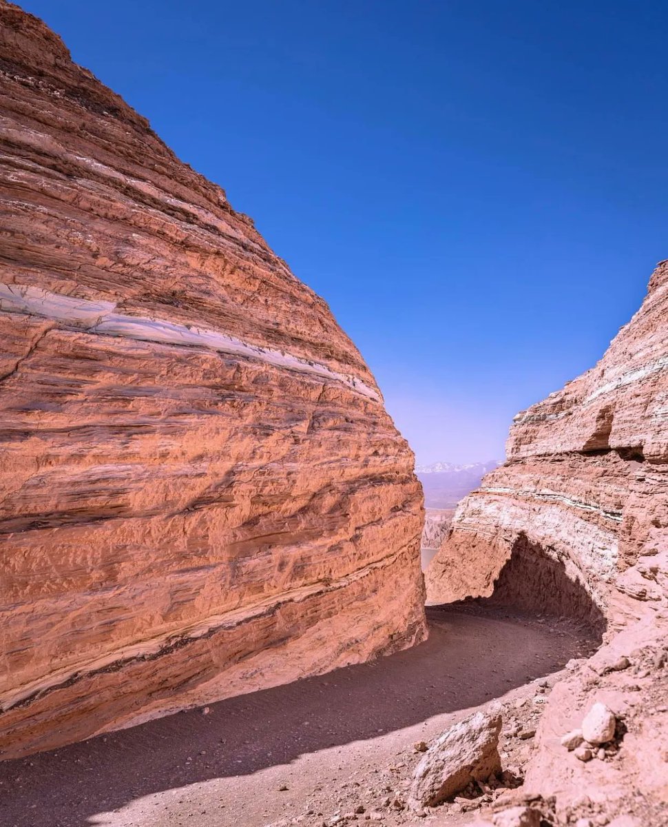 𝑵𝒂𝒕𝒖𝒓𝒆 🍃 tweet media