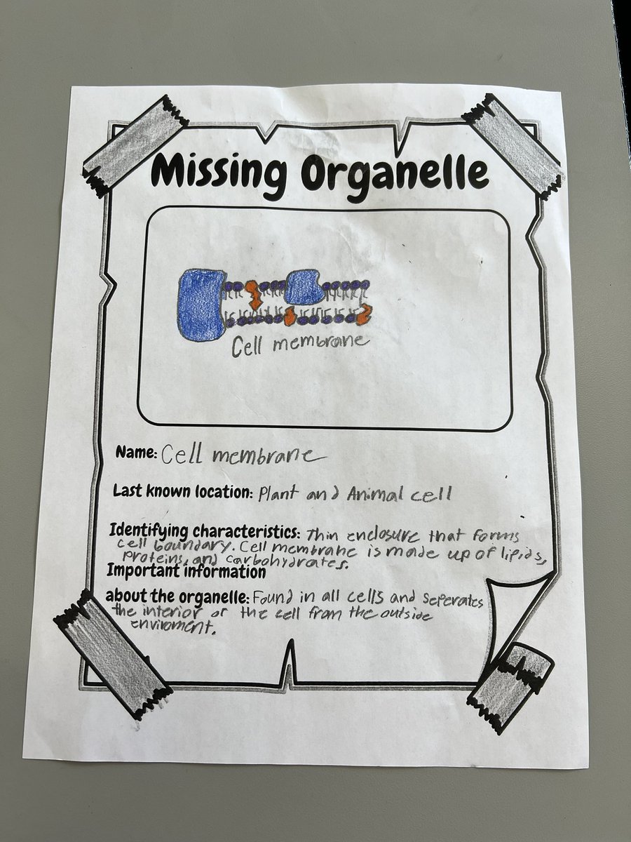 HumbertJess's tweet photo. Learning about cell organelles. Not usually a life science person, but this is one of my favorite units. https://t.co/4r4EOLOQd4