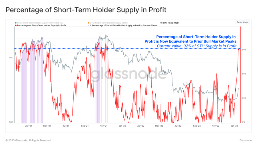 bitcoin profit