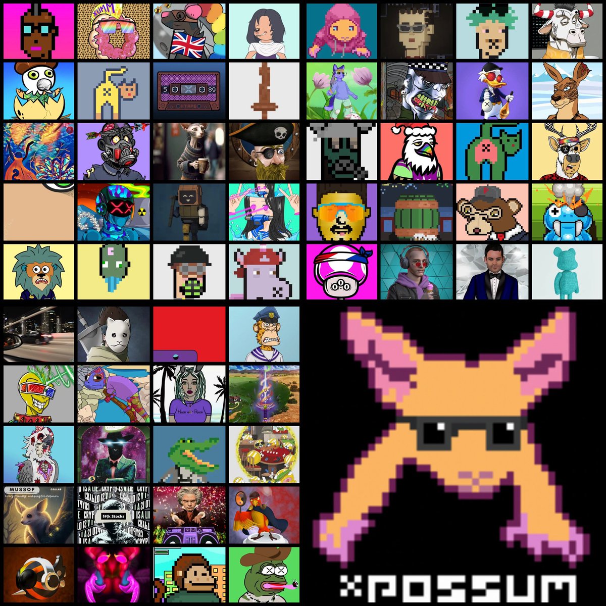 XRPL Awesome Possum tweet media