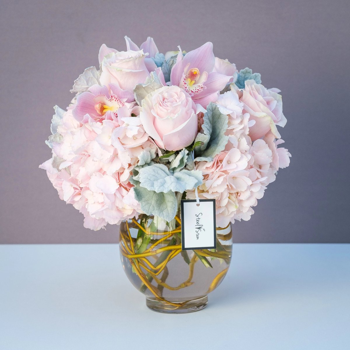 BloomNation tweet media