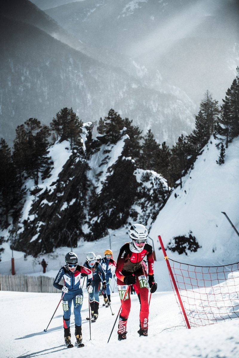 JaviArguelles's tweet photo. Enhorabuena @aniitaalonso 🤜💥 un bronce🥉 y un 8º en la Copa del Mundo de este fin de semana. @fedamon @TurismoAND @SkimoAndalucia @Ceedandalucia @CARSierraNevada @mariadenova4 @websierranevada @deportegob @fedme_es https://t.co/SIBs31fXw8