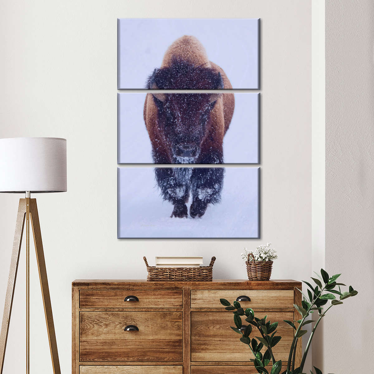 elephantstock.com/products/bison… #yellowstonenationalpark #olenaart #WesternArt #bison  #amongthewild  #americanwest #wildlifeonearth #theg #earthvisuals #ournaturedays #nationalparkspartnership #wildlifeplanet  #splendid_animals #earthoutdoors #wildlife_vision #nature @elephant_stock