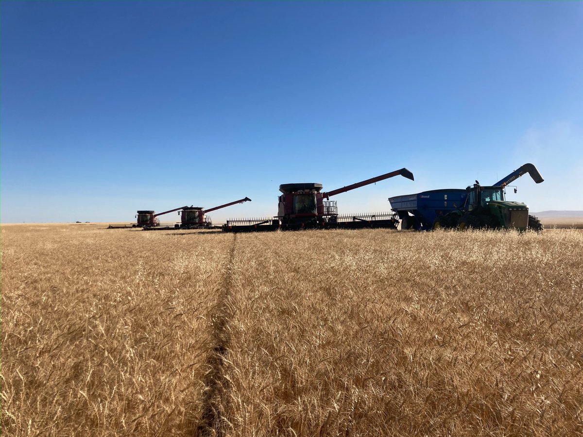 HIRING: Farm Labourer - Full time
Brown’s Grain Ltd. is seeking a reliable person to join our team year round. #ABag #SaskAg #CdnAg #agchat 

We’re a progressive family grain farm near Nanton, AB. 

Retweet & share if you can!