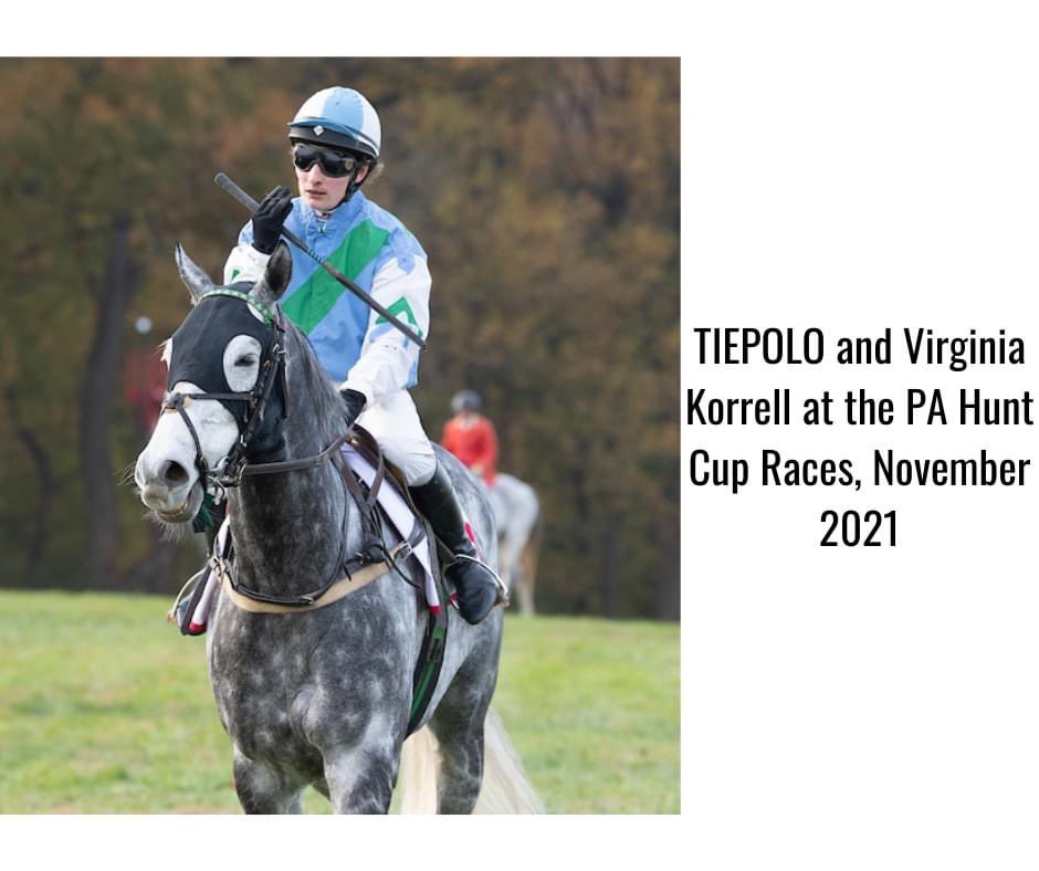 AshwellStable's tweet photo. So sad to hear of the passing of the Korrell's TIEPOLO(IRE), lost in freak accident.
TIEPOLO(IRE) ran for Leslie Young &amp; Puddle Jumpers Intl in 2021.
In 2022 TIEPOLO won two P2P timber races, &amp; broke his sanctioned timber maiden at the PA Hunt Cup. #AshwellGrad Thoughts&amp;Prayers🤍 https://t.co/P8l9qIHBfB