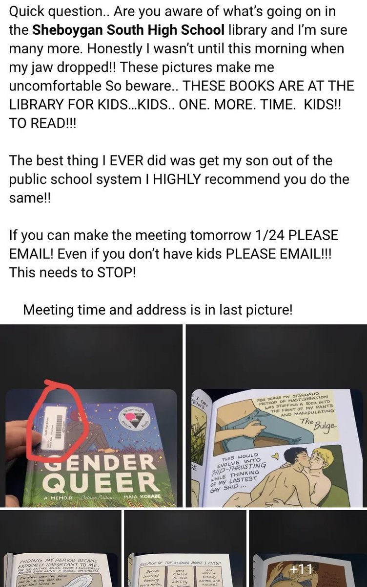 Read more about the article A parent from @SASDschools found the pornographic book “Gender Queer” in a schoo