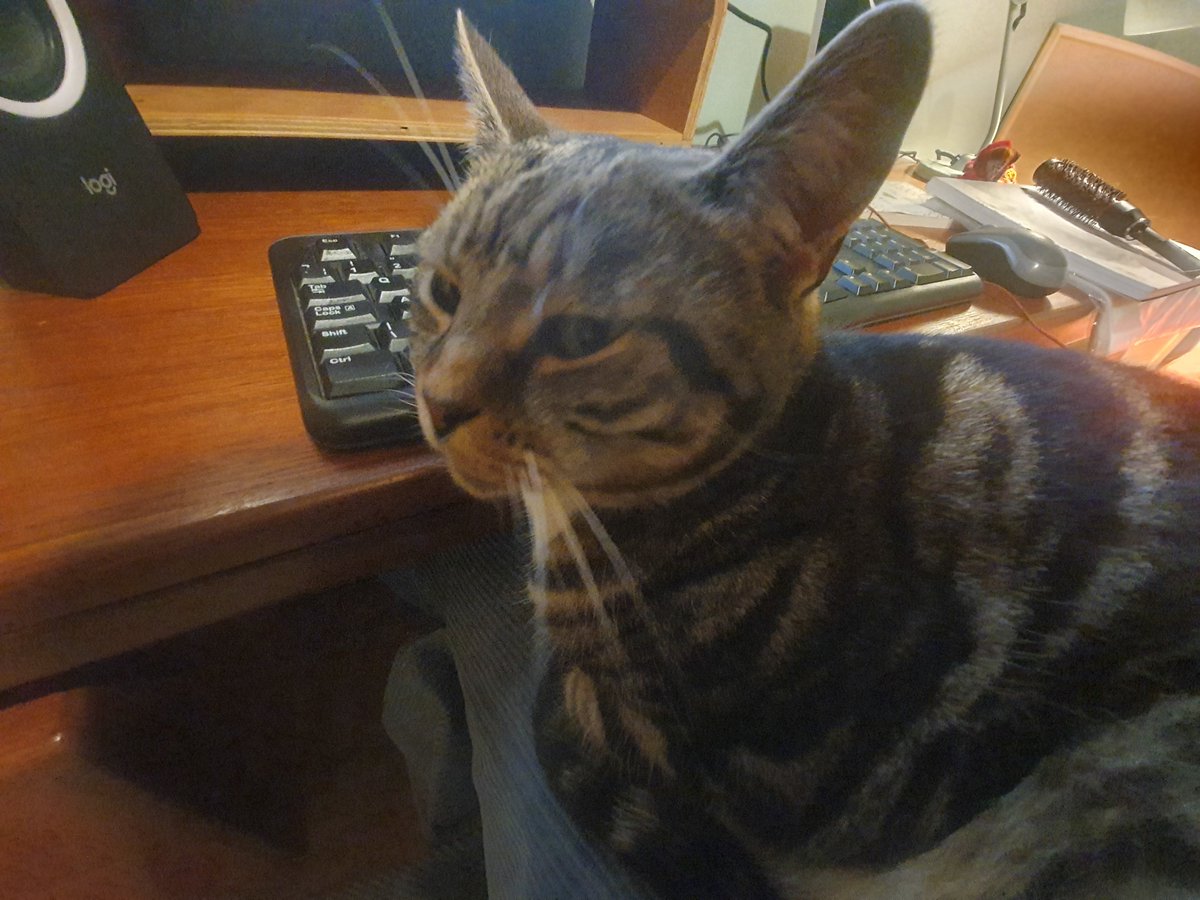 Vicky Biggs tweet media