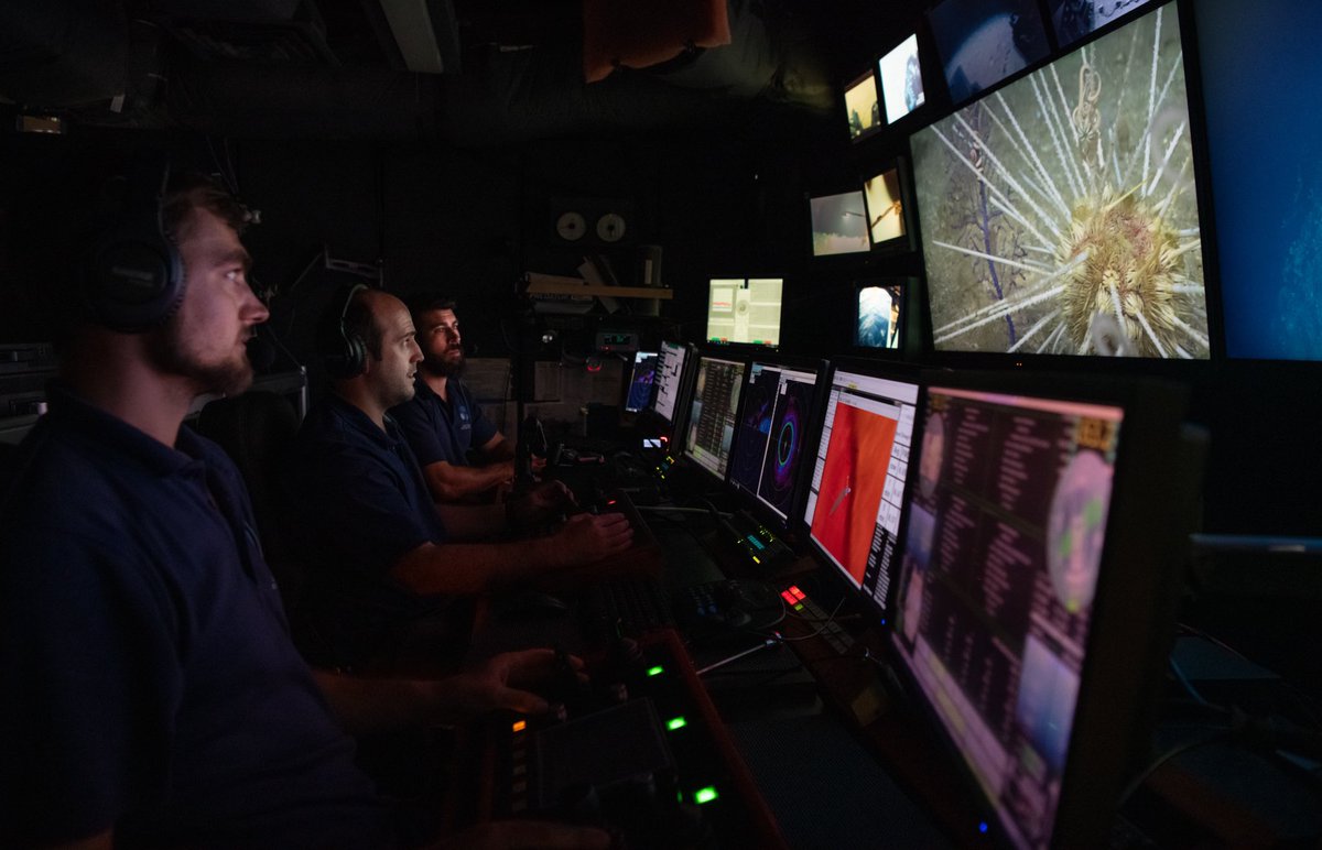 GF Ocean Exploration tweet media