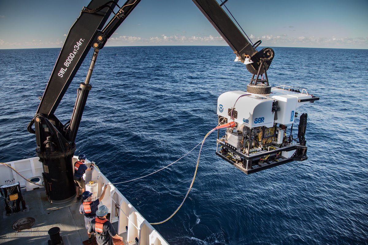 GF Ocean Exploration tweet media