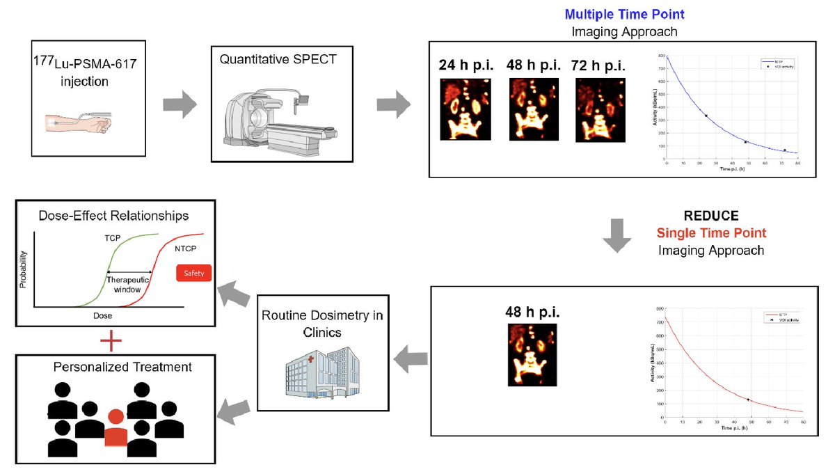 Our <a href="/JournalofNucMed/">JNM</a> article led by the amazing <a href="/JuliaBroschLenz/">Julia Brosch-Lenz</a> is online: "Single Time Point Image-Based Dosimetry of 177Lu-PSMA-617 Therapy”:
jnm.snmjournals.org/content/early/…
#Theranostics #Dosimetry #RPT <a href="/CarlosUribeM/">Carlos Uribe 🧬⚛️</a>