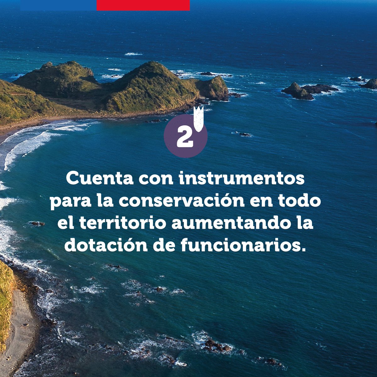 Ministerio del Medio Ambiente tweet media