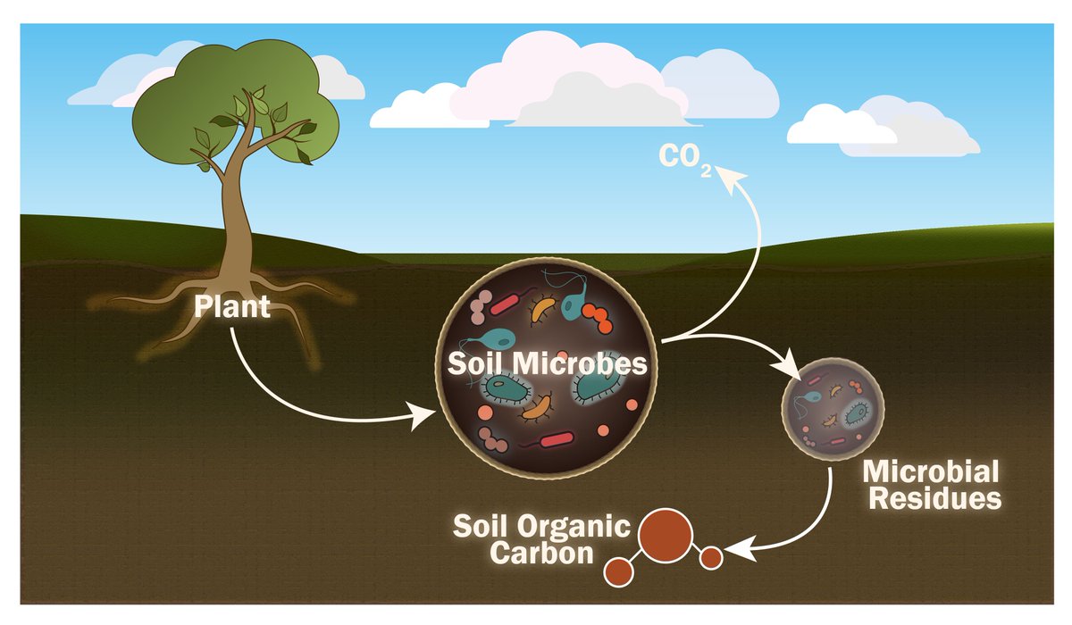 Morrissey Lab (@ember_morrissey) on Twitter photo The Morrissey Lab <a href="/WestVirginiaU/">WVU Mountaineers · Let's Go!</a> is seeking a #graduate #student to study the #ecology of #microbes in #nature. Fully funded #PhD position (~26K stipend, health insurance), lively community, great location. morrisseyem.wix.com/morrisseywvu
please RT The Morrissey Lab <a href="/WestVirginiaU/">WVU Mountaineers · Let's Go!</a> is seeking a #graduate #student to study the #ecology of #microbes in #nature. Fully funded #PhD position (~26K stipend, health insurance), lively community, great location. morrisseyem.wix.com/morrisseywvu
please RT