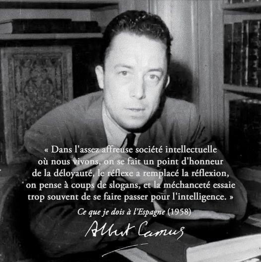 PAOLADESOUSA (@paoldelou) on Twitter photo 