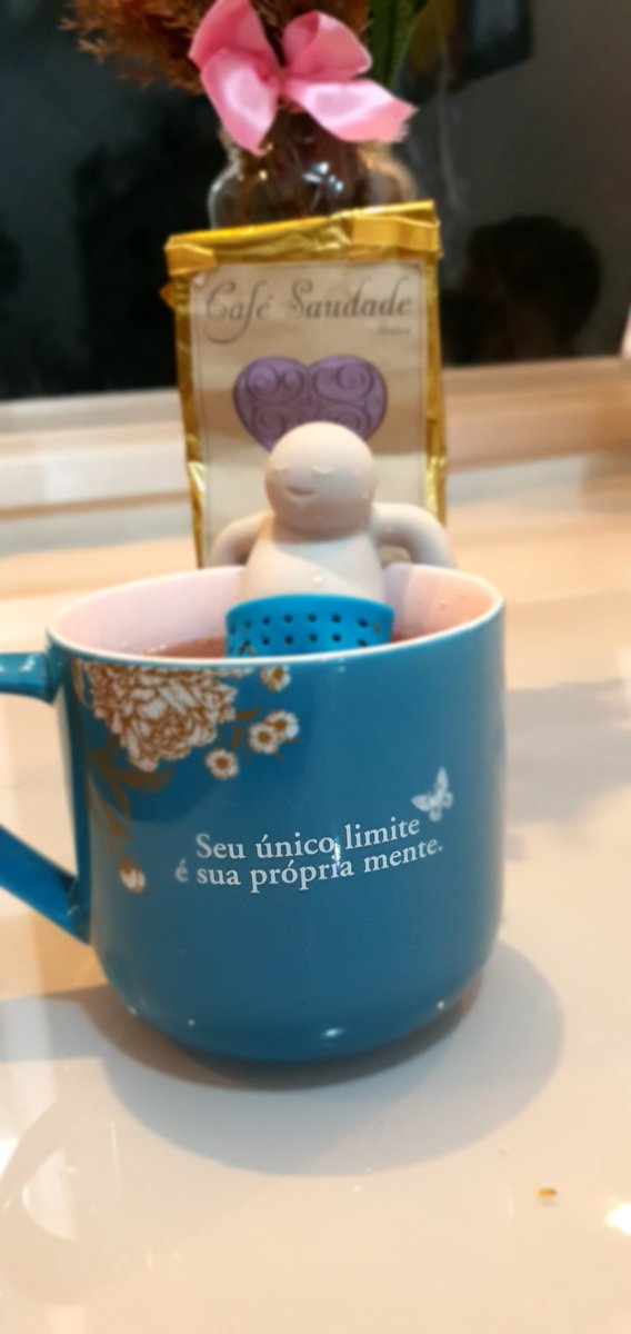 Boa noite 

#canecazonacriativa #infusor #cha #rooiboscomlaranja #cafesaudadePT