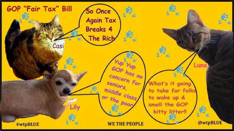 The “Fair Tax” Would Cut Taxes for the Well-Off & Raise Them 4 Everyone Else The tax burden would be on 😡Seniors 😡Middle-class 😡Poor States that charge sales tax will continue charging that tax along with the Fair Tax Only 5 states don't charge sales tax #wtpBLUE wtp1753