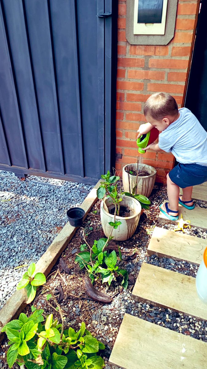 MartaSoriaB's tweet photo. Mueran de envidia con este jardinero 😍♥️🙏🏼 #mitutu https://t.co/1B48zuTlqp