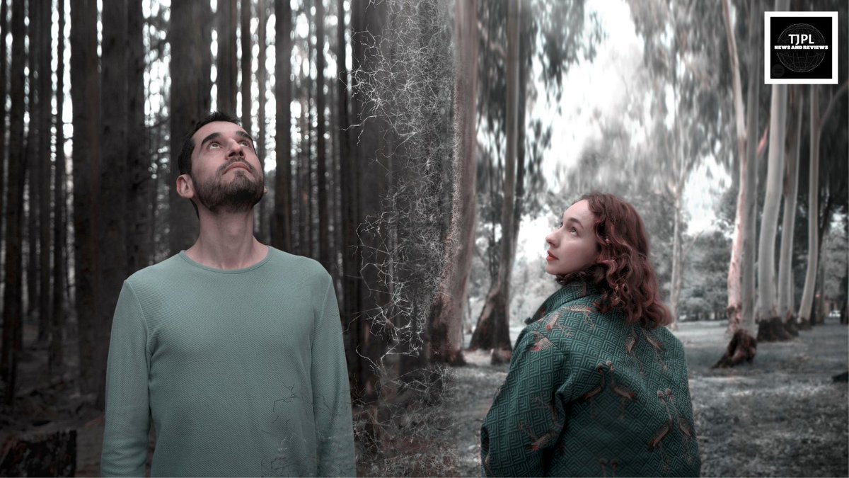 Fritz_Media's tweet photo. SONG REVIEW: "...a harmonic and solemn indie-alt-pop track that delivers all of the melody and texture that you could ever want." - TJPL News reviews @8000BIRDS' new single 'Blue House'! Read the full review: https://t.co/5LK2C0cWWn https://t.co/4stAE9ykXQ