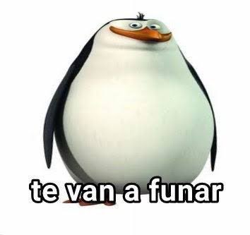 pablanvot's tweet photo. @cocoDulceGa https://t.co/pkCgJzoVXA