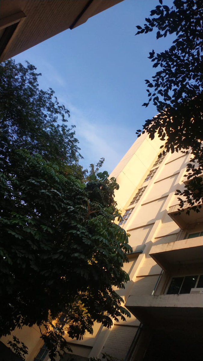 มาวิน tweet media