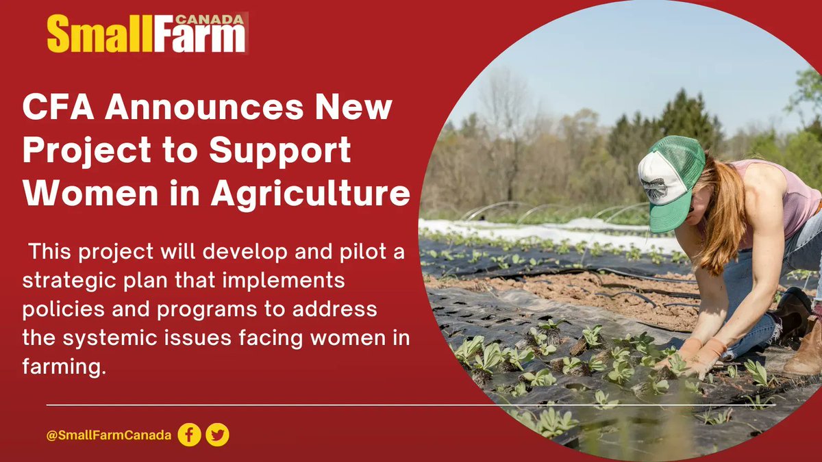 SmallFarmCanada's tweet image. .@CFAFCA Announces New Project to Support Women in Agriculture

The Engaging and Advancing Women in Agriculture (EAWA) project is launched to help level the gender divide in agriculture.

Read more here 🔻

smallfarmcanada.ca/news/cfa-annou… 

#SmallFarmCanada #CdnAg #PEIAg #WomenInAg