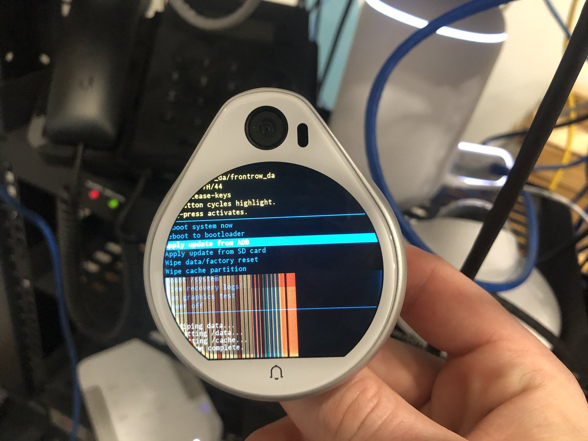 Reilly Chase tweet media