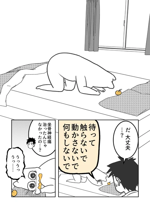 体験レポの続きです!
坐骨神経痛とオサラバしたい→運動する→再発
のループから抜け出せない私に救世主が…! 