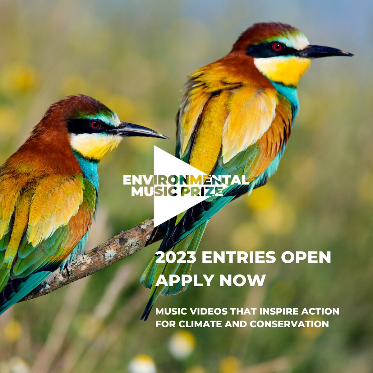 Environmental Music Prize tweet media