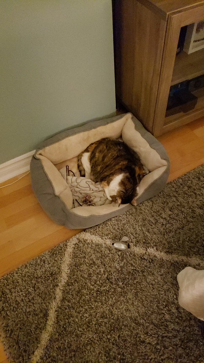 Mike_Pro26's tweet photo. That #MondayNight feeling https://t.co/ZHtVZLx96J